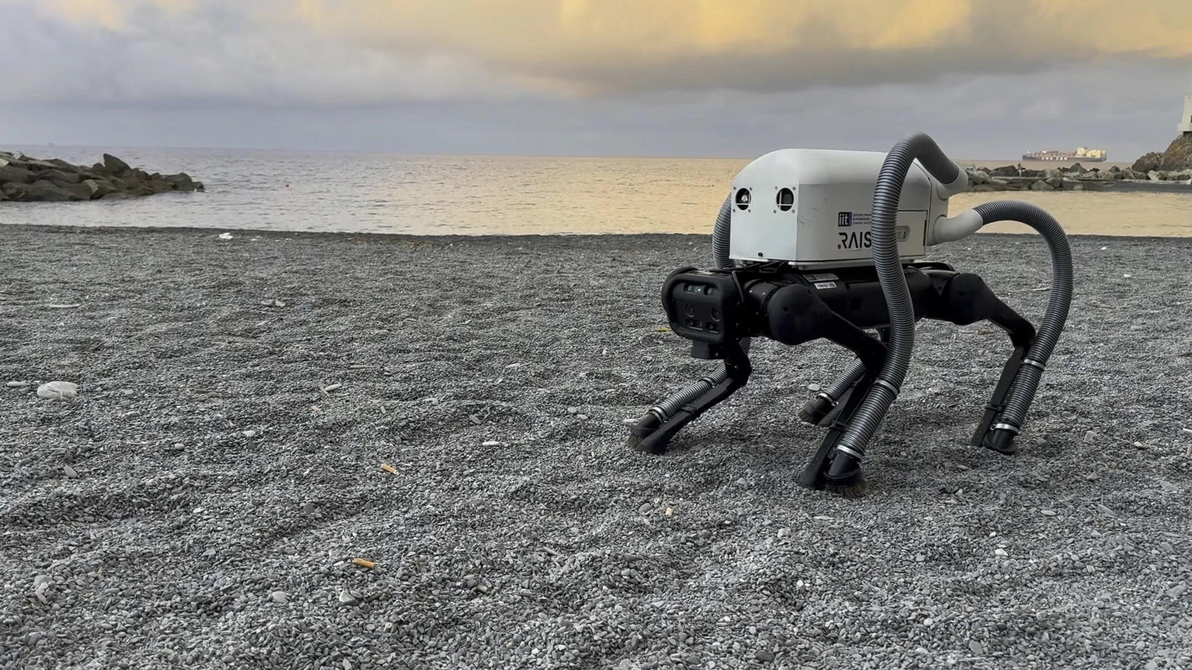 Robot köpek VERO: Vakumlu ayaklarıyla plajları temizleyebiliyor