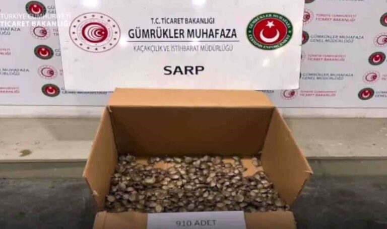 degeri-655-milyon-sarp-gumruk-kapisinda-910-su-kaplumbagasi-yakalandi-DEWO7Wxn.jpg