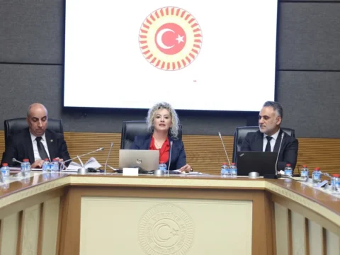 Suça Sürüklenen Gençler İçin Yeni Çözüm Önerileri