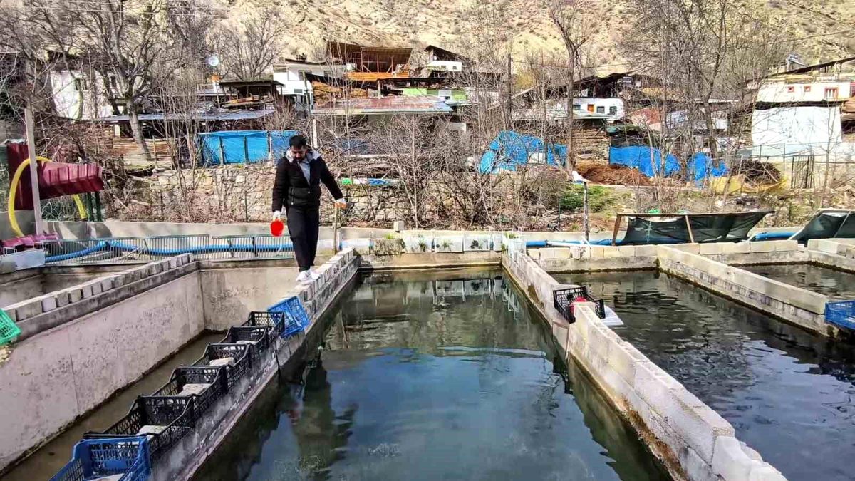 Tortum’daki Alabalık Tesisinde İhmal Sorunları Sürüyor