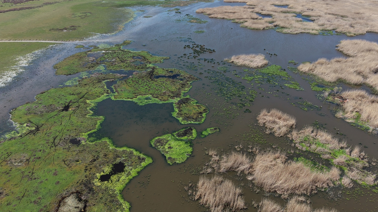 Eber Gölü’ndeki Yağışlar Su Seviyesini Dört Kat Artırdı