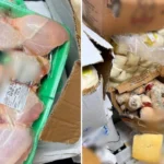 Bodrumda tarihi gecmis 12 ton gida urunune el konuldu xjBJeQTF